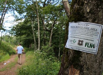 A man in a blue shirt walks down a forest trail. In the foreground a metal sign affixed to a tree announces that this is a prescribed fire area, detailing that the area was intentionally burned.