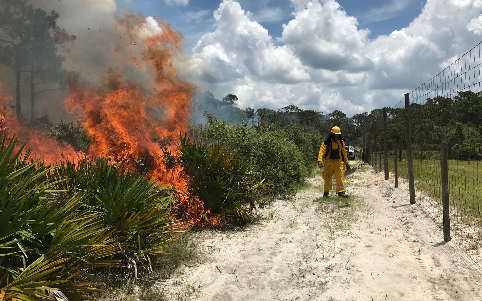 Prescribed fire practitioners from the Bahamas hone their skills in Florida.