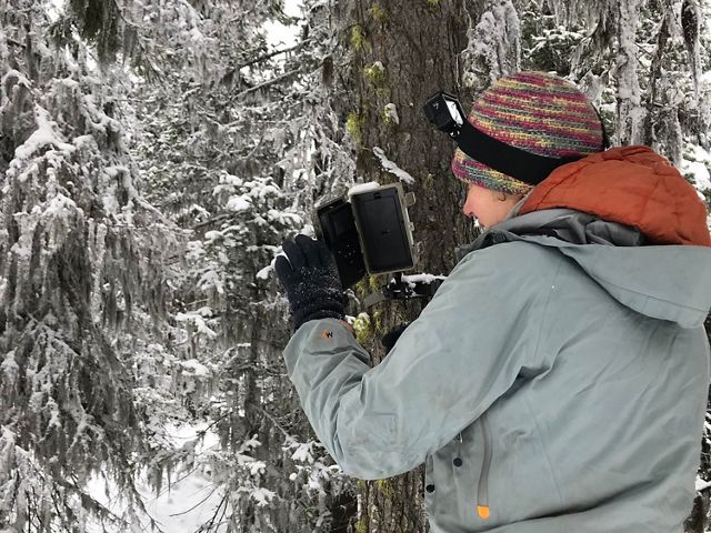Do our forest thinning strategies align with snowpack retention to secure water in a warming climate? 