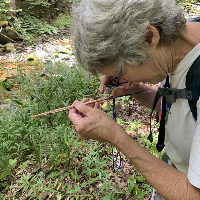 A woman holds a magnifying loupe and looks at a tree core sample in her hand.