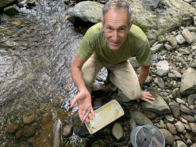 Photo of a man in a stream holding a small Eastern brook trout.