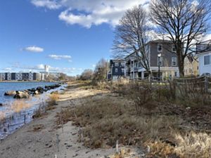 The grasses of the living shoreline in Salem grow between the rocky waters' edge and a walking path, with homes on the other side of the path.