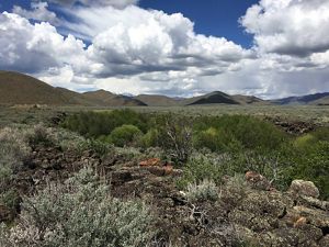 A wide-open landscape with scrubby plants and hills in the distance.