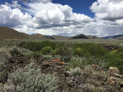 A wide-open landscape with scrubby plants and hills in the distance.
