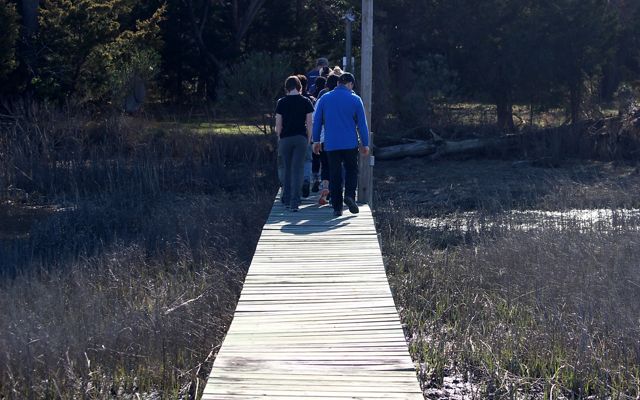 A group of people walk single file across a wooden boardwalk.