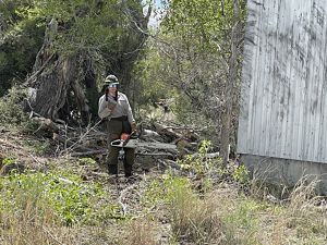 A woman stands in a field holding a chainsaw.