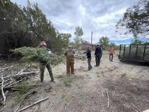 A group of six adults stand in a line to move large branches.