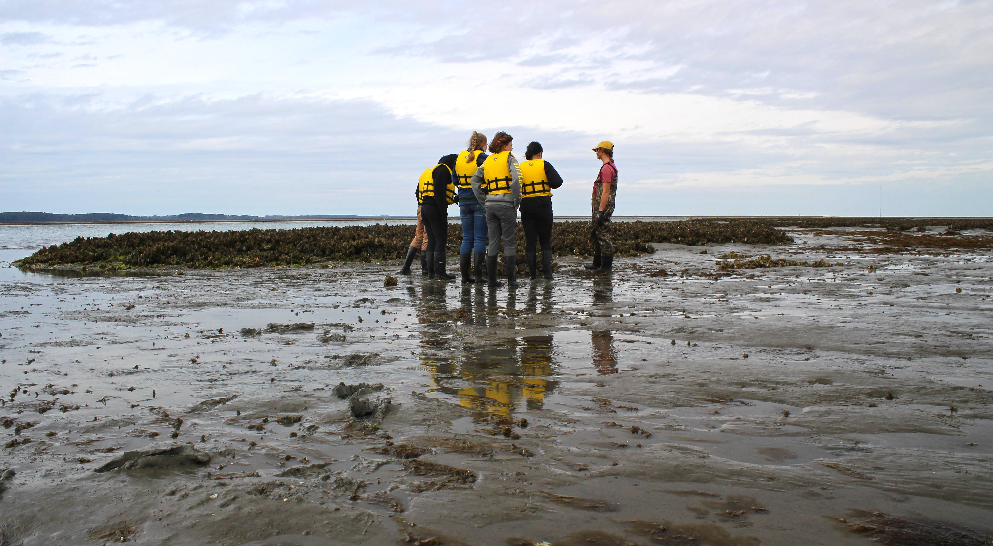 Five people stand together on a mud flat at low tide. A long row of exposed oyster reef stretches behind them.