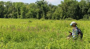 A woman stands among bright green plants in a field with lush trees in the background.