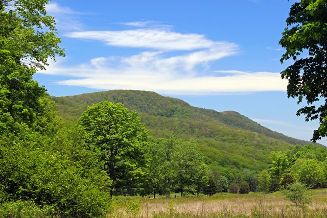 A forested mountain ridge rises in the background framed by tall leafy trees. White clouds streak the bright blue sky.