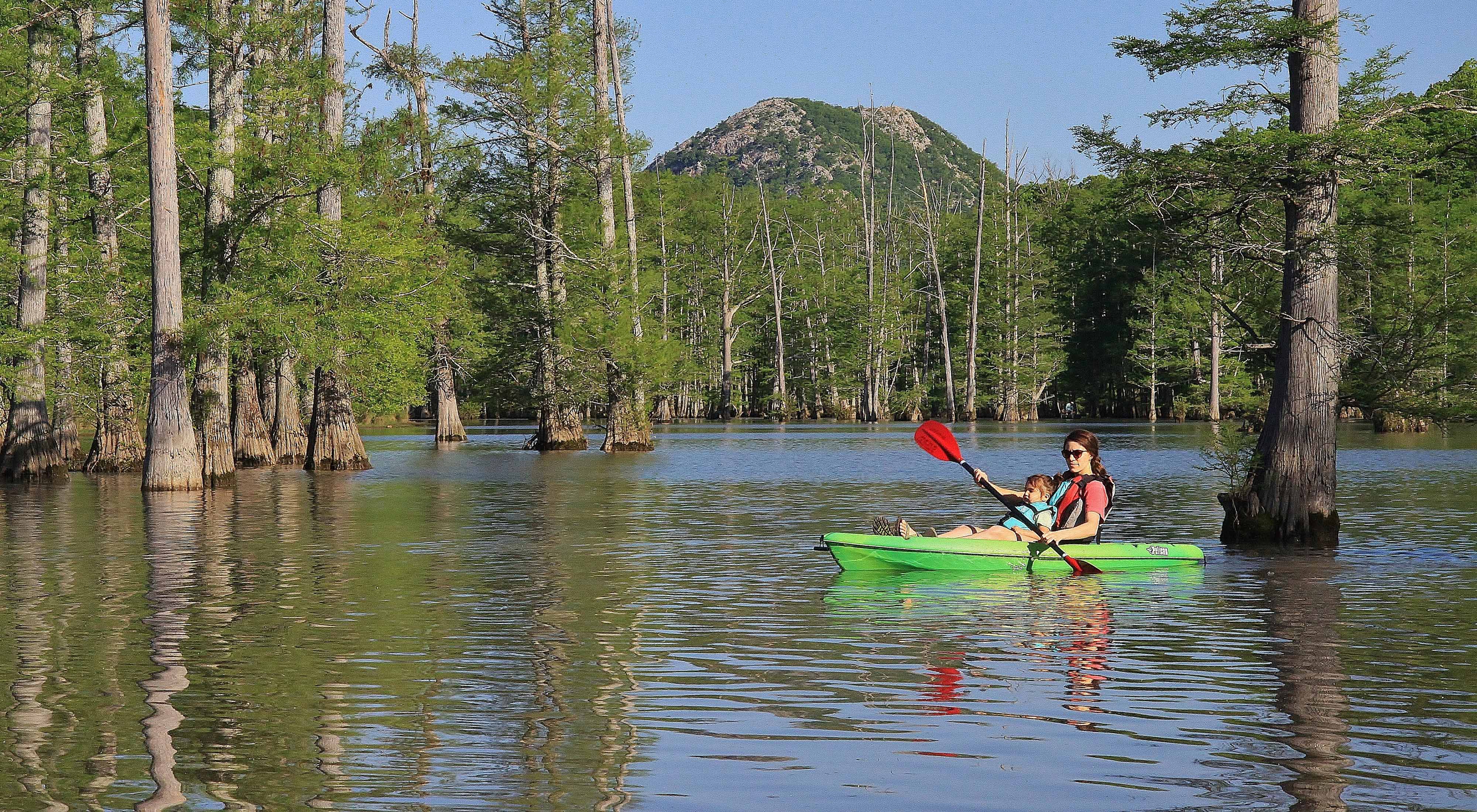 A woman and child in a kayak exploring a swampy area with cypress trees growing out of the water and a rocky hill in the background.