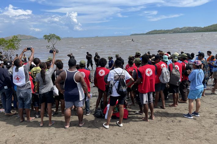 A group of people stand together at the edge of a mangrove swamp.