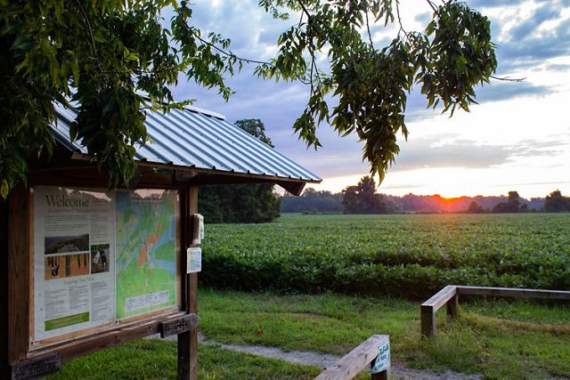 Sun rise over a large field of soybeans. The sun hangs low on the horizon. A large information kiosk is in the foreground.