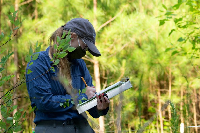 A woman writes notes on a clipboard she is bracing against her arm. She is wearing a ball cap and face mask. A leafy branch in the foreground partly obscures her face.