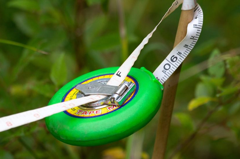 A round green tape measure hangs suspended from its tape, tied off to a narrow wooden dowel.