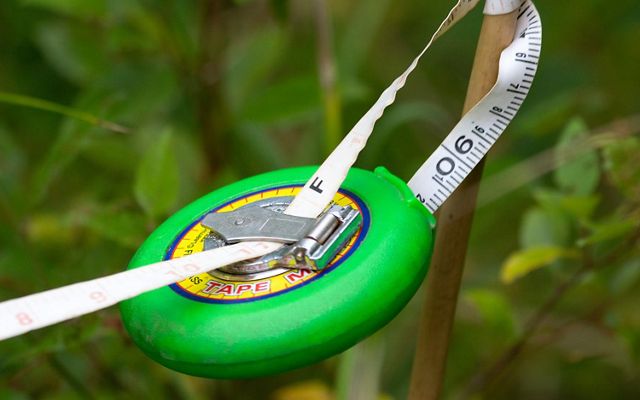 A round green tape measure hangs suspended from its tape, tied off to a narrow wooden dowel.