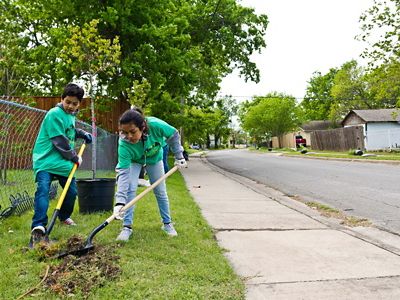 Two youths use shovels to dig a hole and plant a tree next to a suburban sidewalk and road made of concrete.