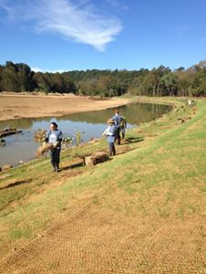 Mahco volunteers planting trees.
