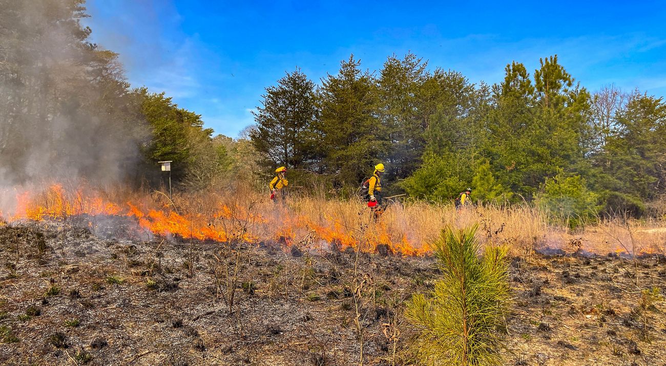 A small fire burns in a field in front of a tree line and 3 people dressed in yellow fire gear.