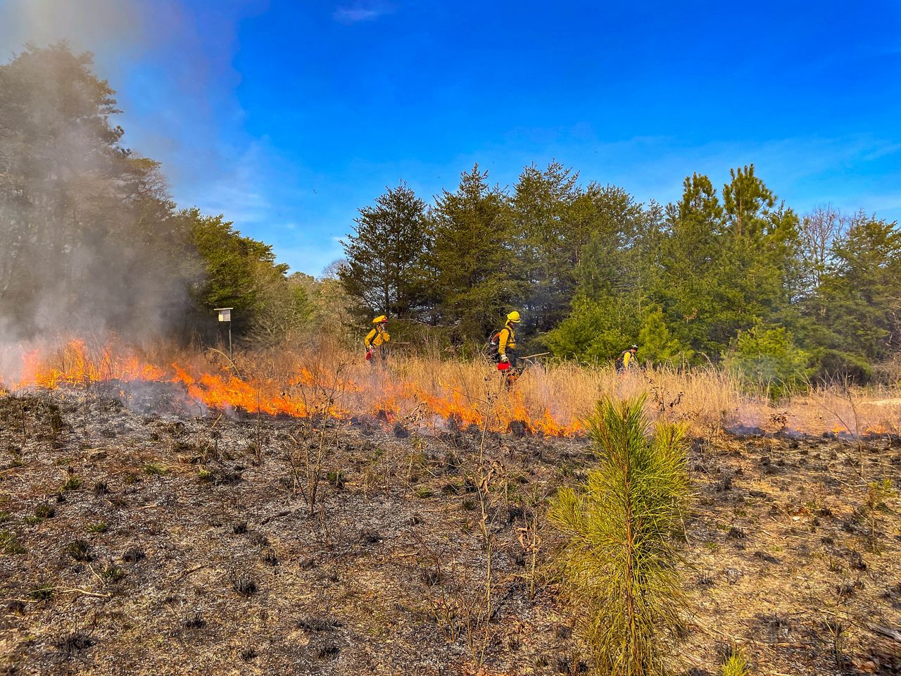 Land Stewardship in Delaware | How TNC Protects Lands & Waters