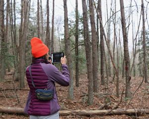 A person photographs a forest with a tablet.