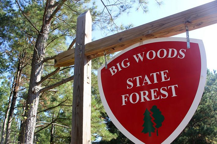 an aerial photo shows full-grown forest next to recently replanted trees.
