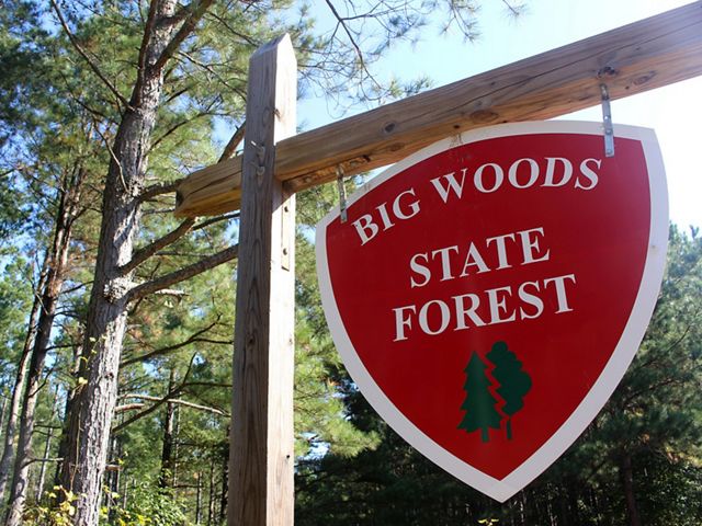 A shield shaped sign hangs below a wooden crosspiece. The sign reads, Big Woods State Forest. Tall trees rise in the background.