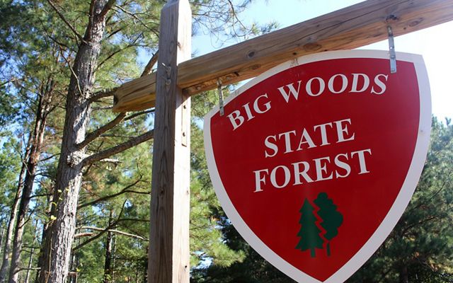 A large sign reading Big Woods State Forest stands at the edge of a forested protected area.