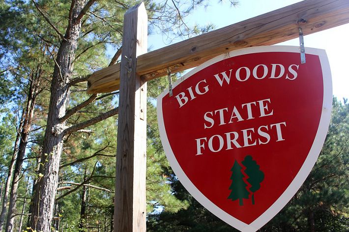 A shield shaped sign hangs below a wooden crosspiece. The sign reads, Big Woods State Forest. Tall trees rise in the background.