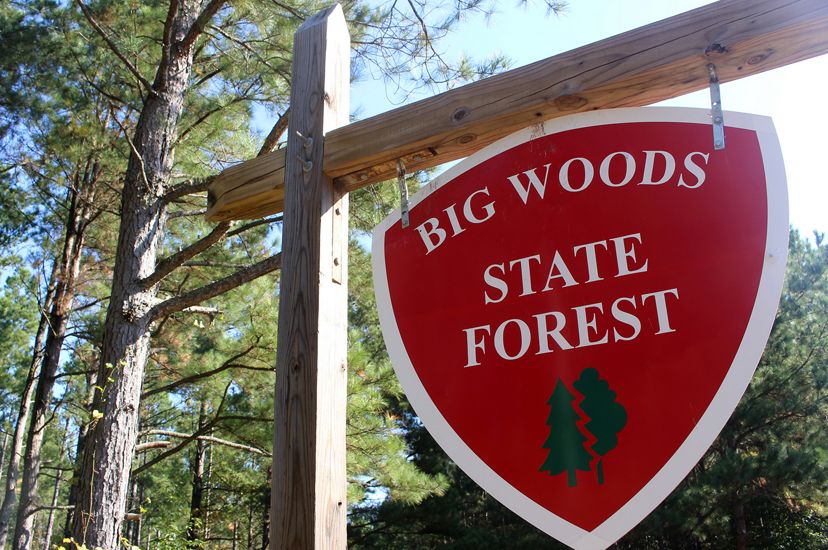 A large sign reading Big Woods State Forest stands at the edge of a forested protected area.