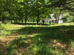 Three people walk towards a white farmhouse nestled in a grove of shade trees.