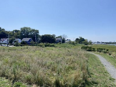 In the foreground, marsh grasses grow at the edge of Belle Isle Marsh, with Morton Street and homes along it in the background.