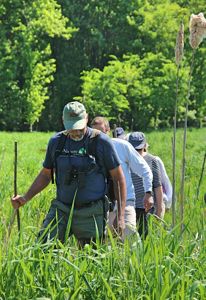 A person leads a line of people through tall grass. 