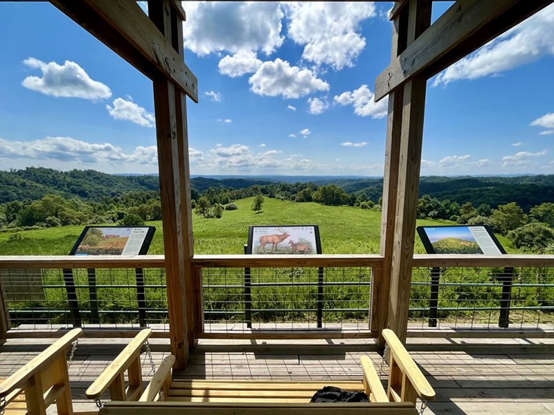 Looking out over a wide green meadow from an elevated elk viewing platform. Three interpretive signs line the railing.