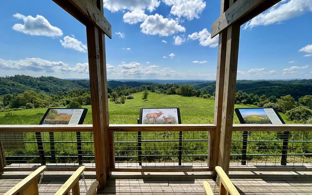 Looking out over a wide green meadow from an elevated elk viewing platform. Three interpretive signs line the railing.