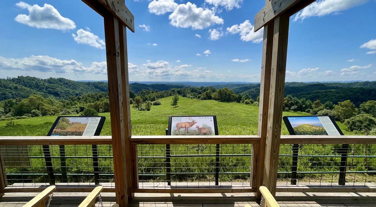 A scenic view of a blue sky with white clouds and a large grassy area surrounded by forest  from an elk viewing station with three informative signs in Virginia