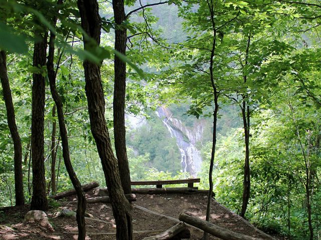 View from a wooded overlook. A waterfall is visible through the trees. The water cascades down the bare rock face.