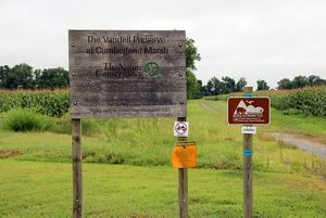 A large wooden sign welcomes visitors to Cumberland Marsh. A dirt lane curves off the right past a field of tall corn.