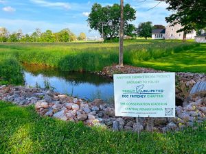 A sign about healthy streams sits in front a small body of water surrounded by green grass.