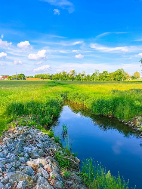 A small stream surrounded by green grass meanders into the horizon.