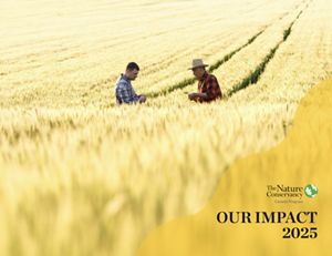 Cover of the 2025 impact report showing two people standing in a golden wheat field.