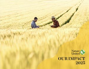 Cover of the 2025 impact report showing two people standing in a golden wheat field.