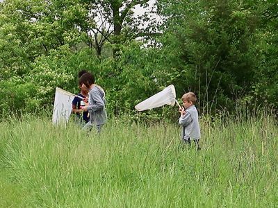 Three young children with butterfly nets walking through tall, green grasses.