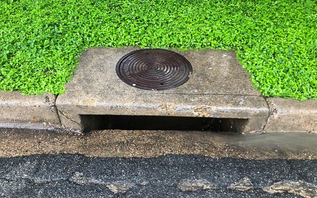 Dirty water flows into a concrete storm drain as it rains.