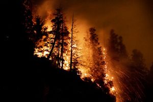 Incendio forestal en la noche en El Bolsón en 2023.