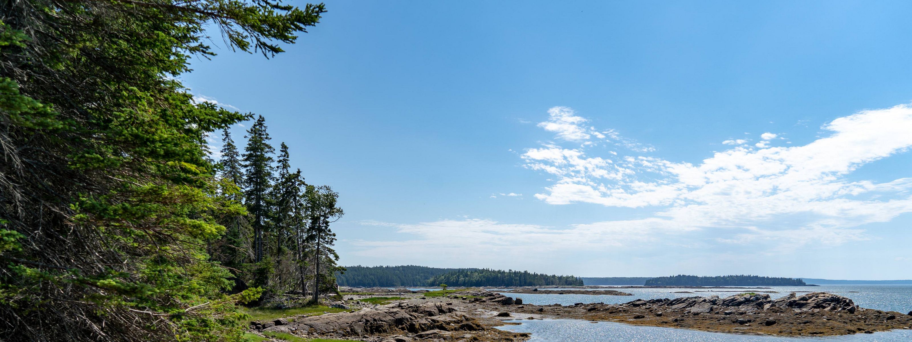 View along the rocky shoreline on the Maine coast.