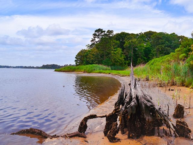 Delaware's Coastal Resilience Roadmap Delaware's Coastal Resilience Roadmap
