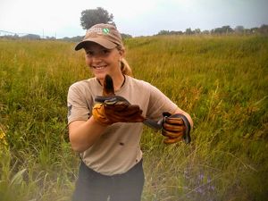 A dragonfly rests on a plant.