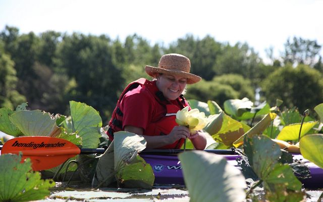 A woman with a red life jacket sits in a kayak on the water, surrounded by large round leaves and pale yellow wildflowers.