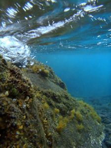 An underwater wave slams against a rock. 
